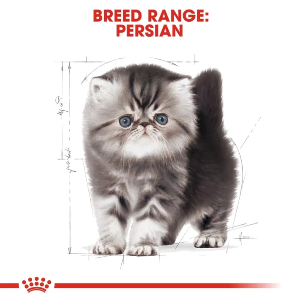 FELINE BREED NUTRITION - KITTEN PERSIAN 4KG