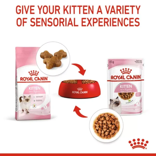 my-11134207-7r98u-lpg91hlo78hk2a.webp Royal Canin Kitten (4kg) Dry Cat Food - Feline Health Nutrition