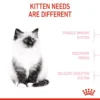 my-11134207-7r98y-lpg91hlo30s8a2.webp Royal Canin Kitten (4kg) Dry Cat Food - Feline Health Nutrition