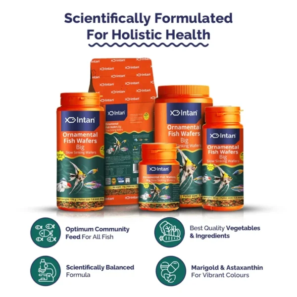 Intan - Ornamental Fish Wafers 🐠 Premium Fish Food - Player Choice For Angels, Gouramis, Goldfish, Barbs, Rainbow
