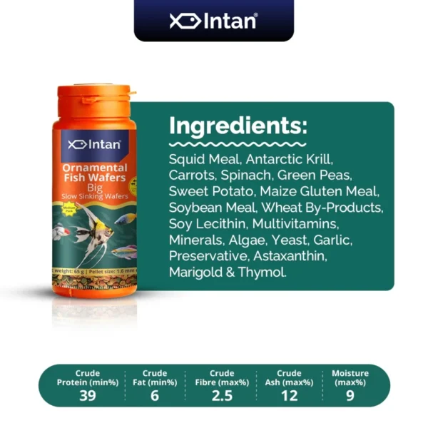 Intan - Ornamental Fish Wafers 🐠 Premium Fish Food - Player Choice For Angels, Gouramis, Goldfish, Barbs, Rainbow