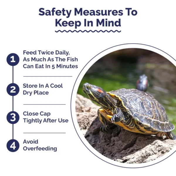 Intan Turtle Sticks 🐢 Player Choice for Turtles, Amphibians & Newts  Reptile Food