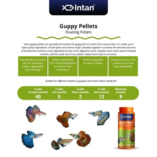 Intan Fish Food - Guppy Pellets 🐠 Player Choice For Fish Like Guppies & Small Surface Eating Fish 155g