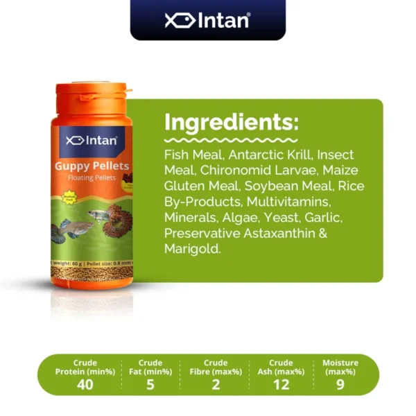 Intan Fish Food - Guppy Pellets 🐠 Player Choice For Fish Like Guppies & Small Surface Eating Fish 155g