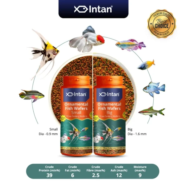 Intan - Ornamental Fish Wafers 🐠 Premium Fish Food - Player Choice For Angels, Gouramis, Goldfish, Barbs, Rainbow