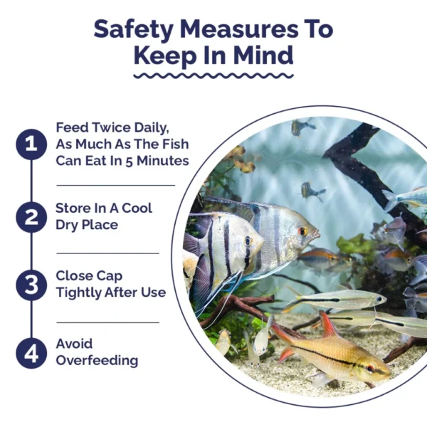 Intan - Ornamental Fish Wafers 🐠 Premium Fish Food - Player Choice For Angels, Gouramis, Goldfish, Barbs, Rainbow