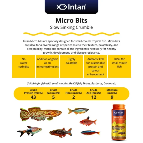 Intan - Micro Bits 🐠 Player Choice For Fish Like Killifish, Tetras, Rasboras & Danios | Premium Fish Food 140g
