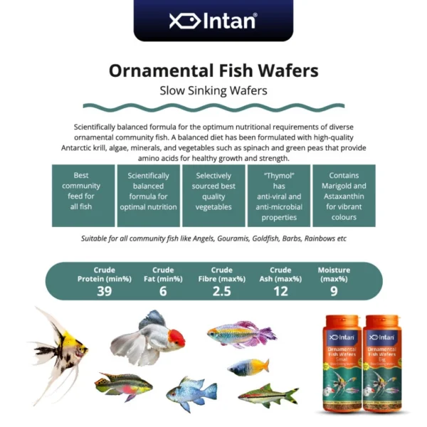 Intan - Ornamental Fish Wafers 🐠 Premium Fish Food - Player Choice For Angels, Gouramis, Goldfish, Barbs, Rainbow